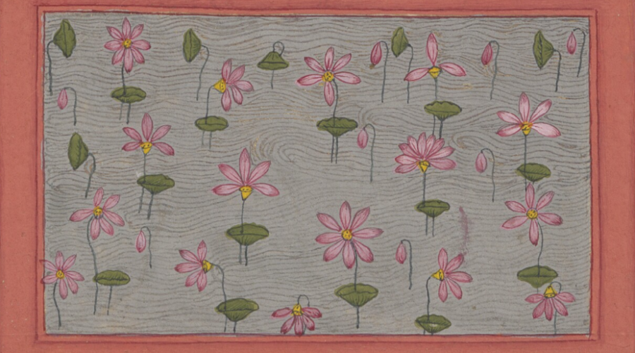 flores-900×501